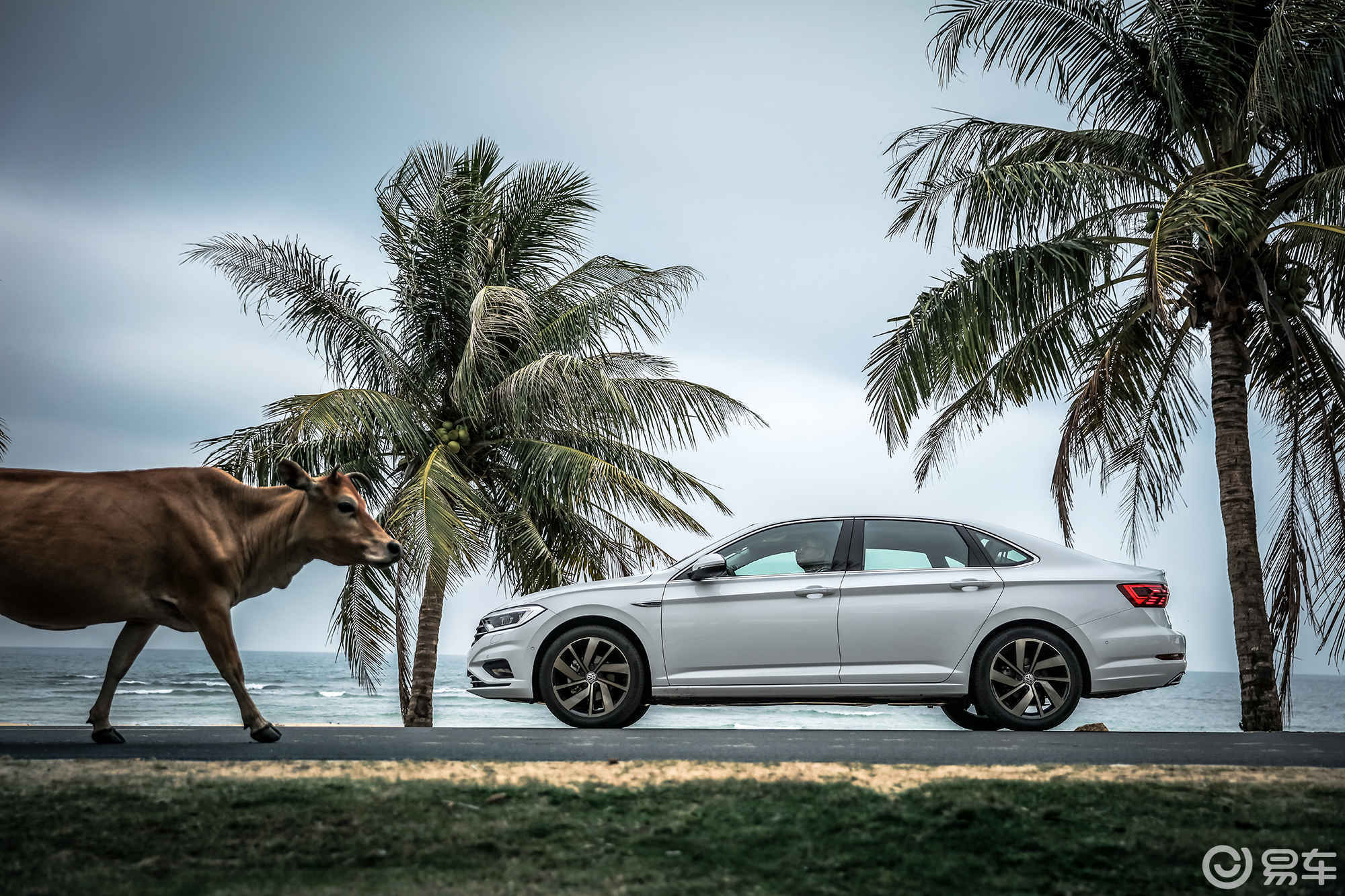 何惧山高水阔新速腾带你走四海天涯