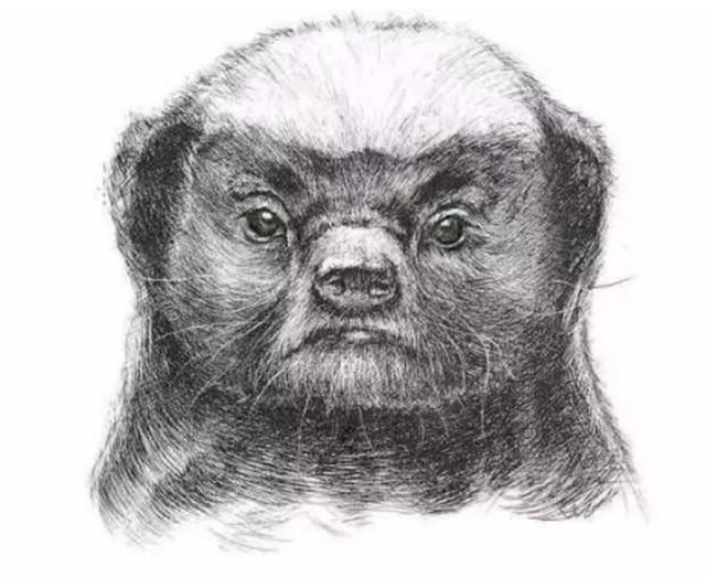 电动车界平头哥凭此2项即可秒杀对手