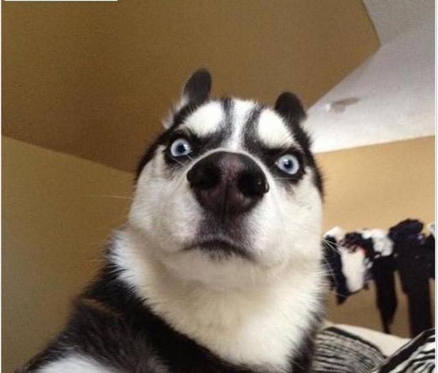 虽然脚是放松了,但安全就得打个问号了.