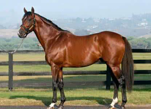 要穿越回古代你能买的起车吗