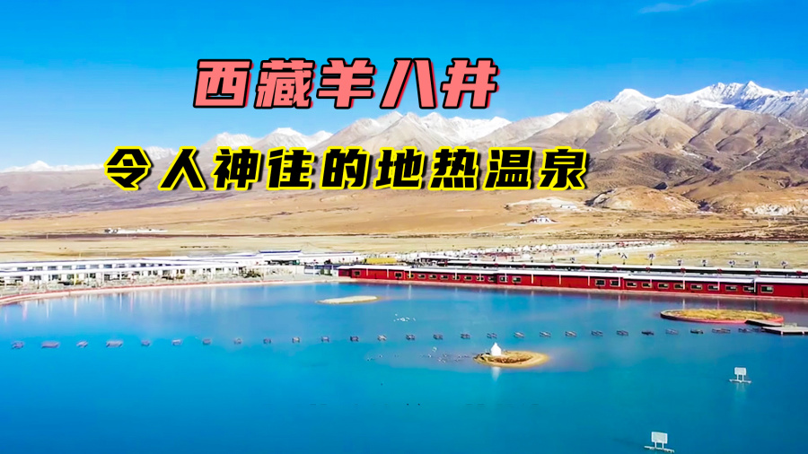 西藏羊八井体验在雪山下泡温泉自驾路上的疲惫一洗而空