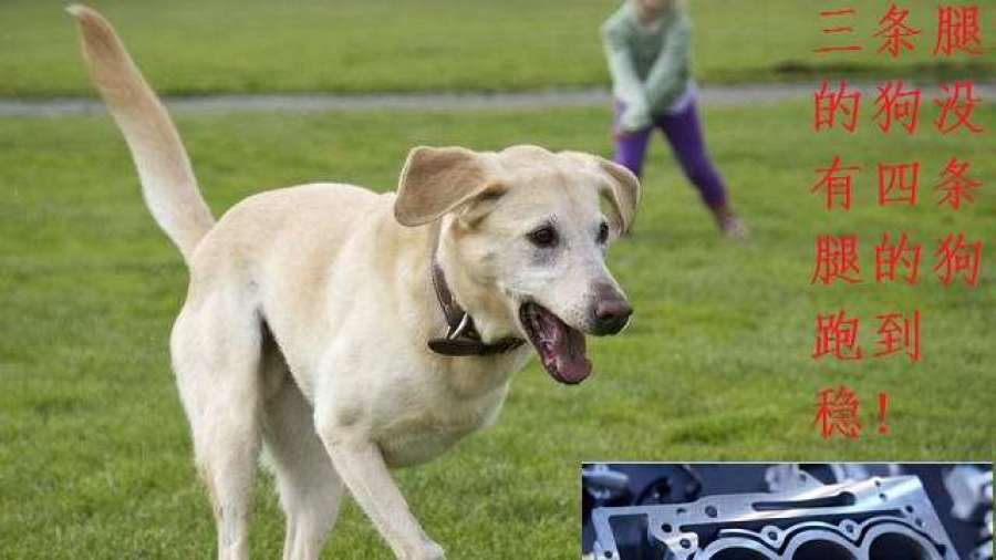 车主聊三缸三缸并不省油三条腿的狗没有四条腿的狗跑的稳