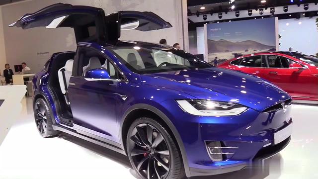 2020款 特斯拉 model x