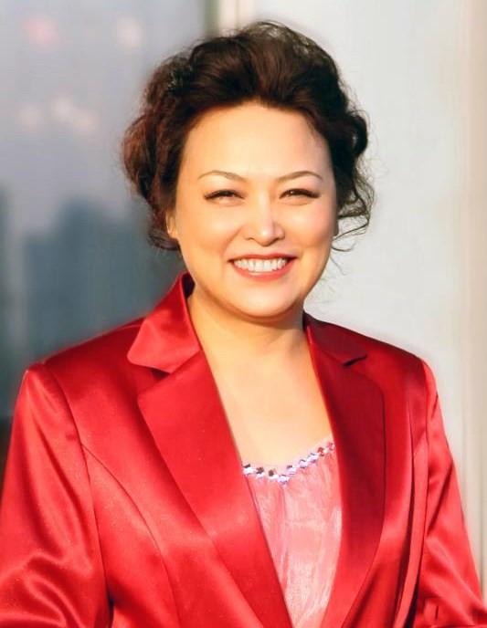 王凤英2020两会建议鼓励小型电动车发展