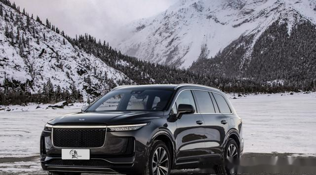 比如比亚迪,广汽传祺,吉利,奇瑞等等,当然还有理想这个比较新的品牌.